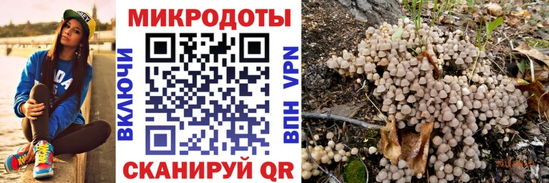 Псилоцибиновые грибы Psilocybe ОМГ ОМГ ссылки Кубинка